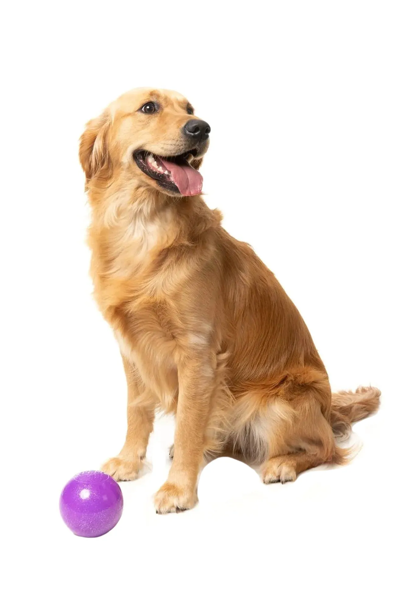 FuzzYard Truth Tellin' Treat Ball Dog Toy