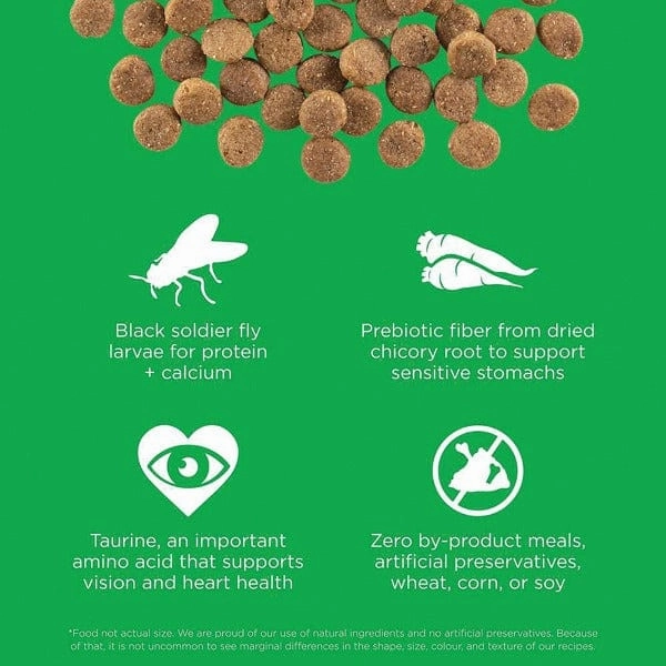 Go! Solutions Sensitivities Limited Ingredient Grain Free Insect Recipe Dry Dog Food