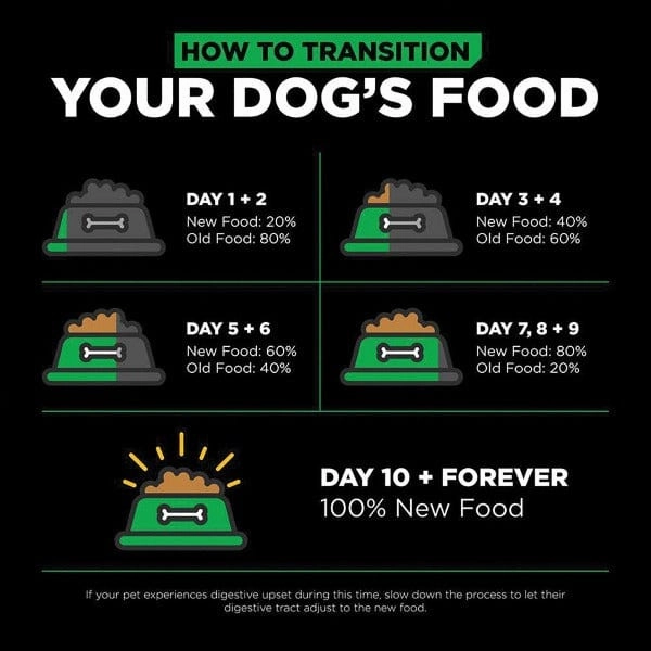 Go! Solutions Sensitivities Limited Ingredient Grain Free Insect Recipe Dry Dog Food