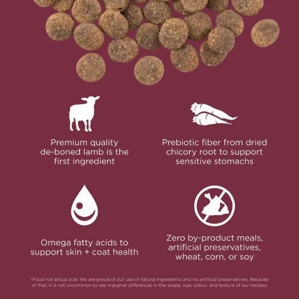 Go! Solutions Sensitivities Limited Ingredient Grain Free Lamb Recipe Dry Dog Food