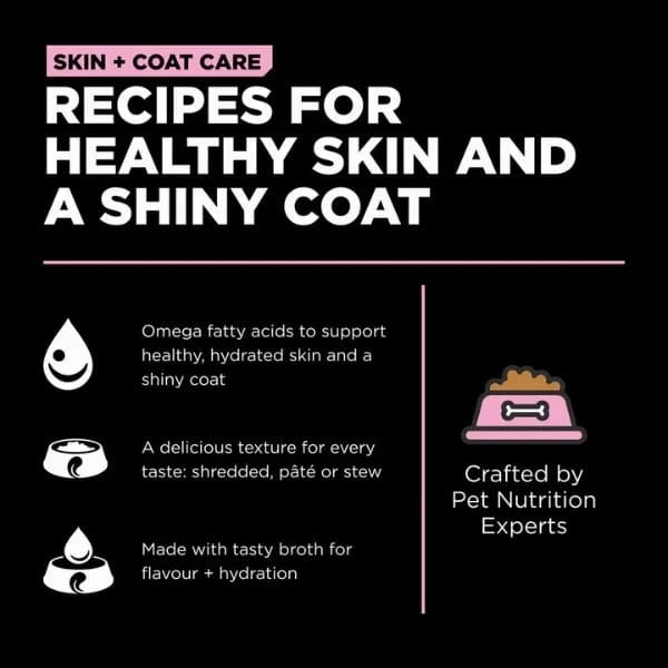 Go! Solutions Skin & Coat Care Pollock Pate with Grains Wet Dog Food, 12.5oz