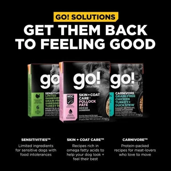Go! Solutions Skin & Coat Care Pollock Pate with Grains Wet Dog Food, 12.5oz