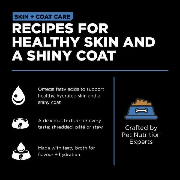 Go! Solutions Skin & Coat Care Shredded Chicken Recipe Wet Dog Food, 12.5oz