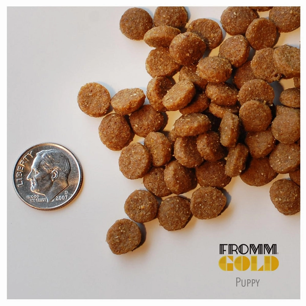 Gold Puppy Chicken Dog Dry Food