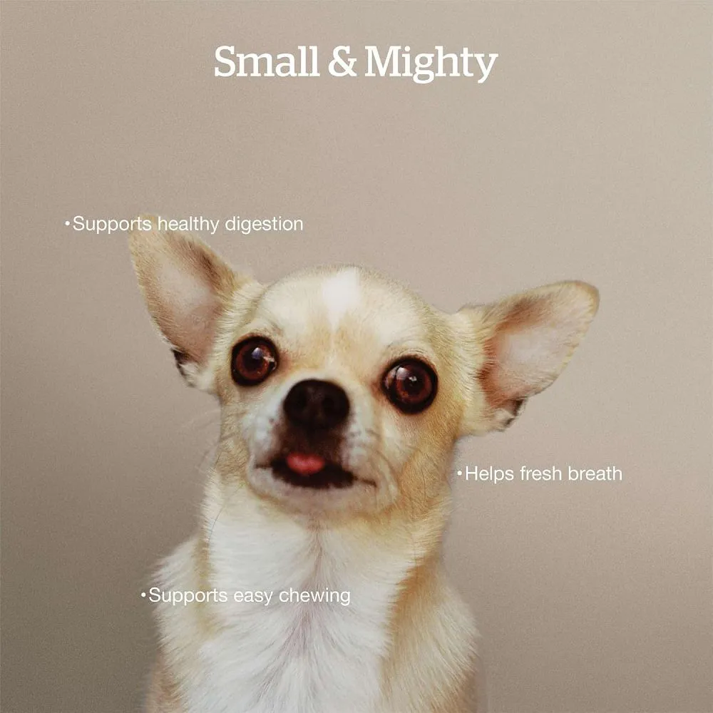 Good Gravy - Salmon Coated in Bone Broth Small Breed Adult Dog Dry Food