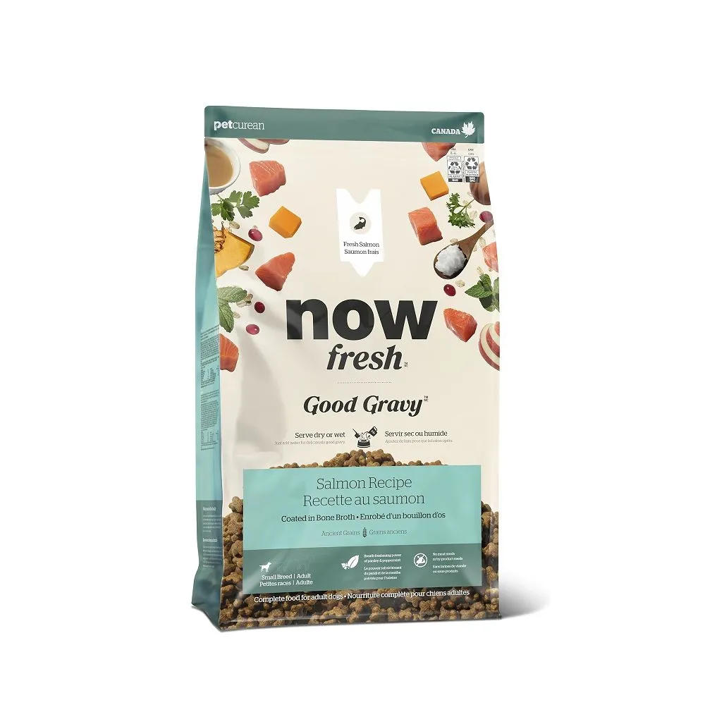 Good Gravy - Salmon Coated in Bone Broth Small Breed Adult Dog Dry Food