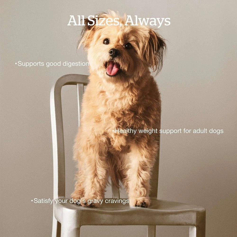 Good Gravy - Cage-Free Chicken Coated in Bone Broth Adult Dog Dry Food