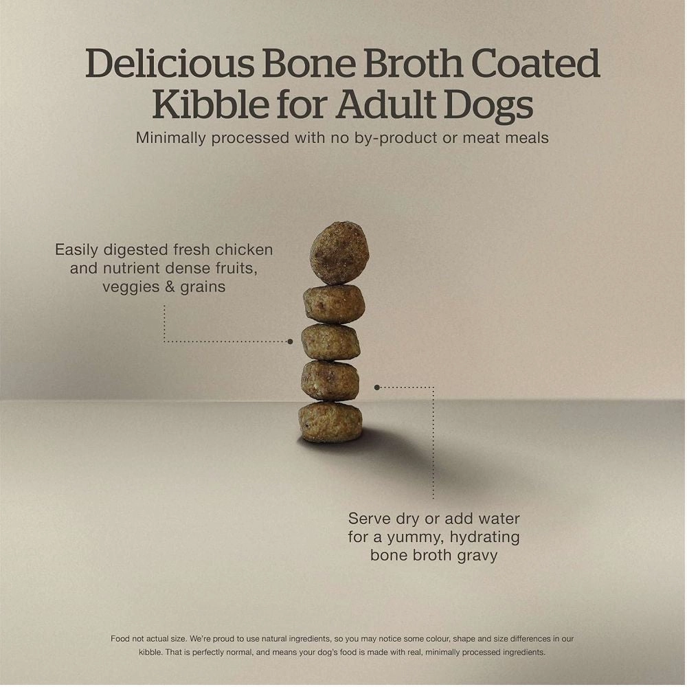 Good Gravy - Salmon Coated in Bone Broth Adult Dog Dry Food
