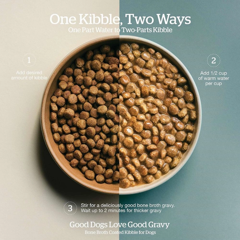 Good Gravy - Salmon Coated in Bone Broth Adult Dog Dry Food
