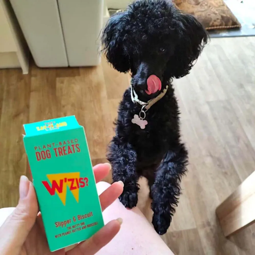 Grab&Go: Slipper & Biscuit Treats for Dogs