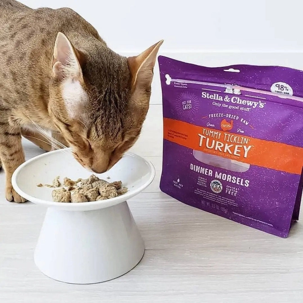 Grain Free Freeze Dried Turkey Dinner Morsels Cat Food