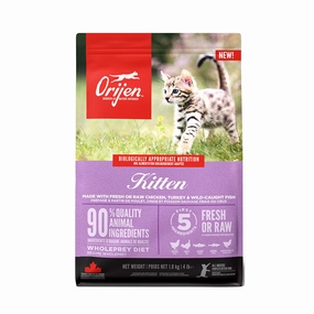 Grain Free Kitten