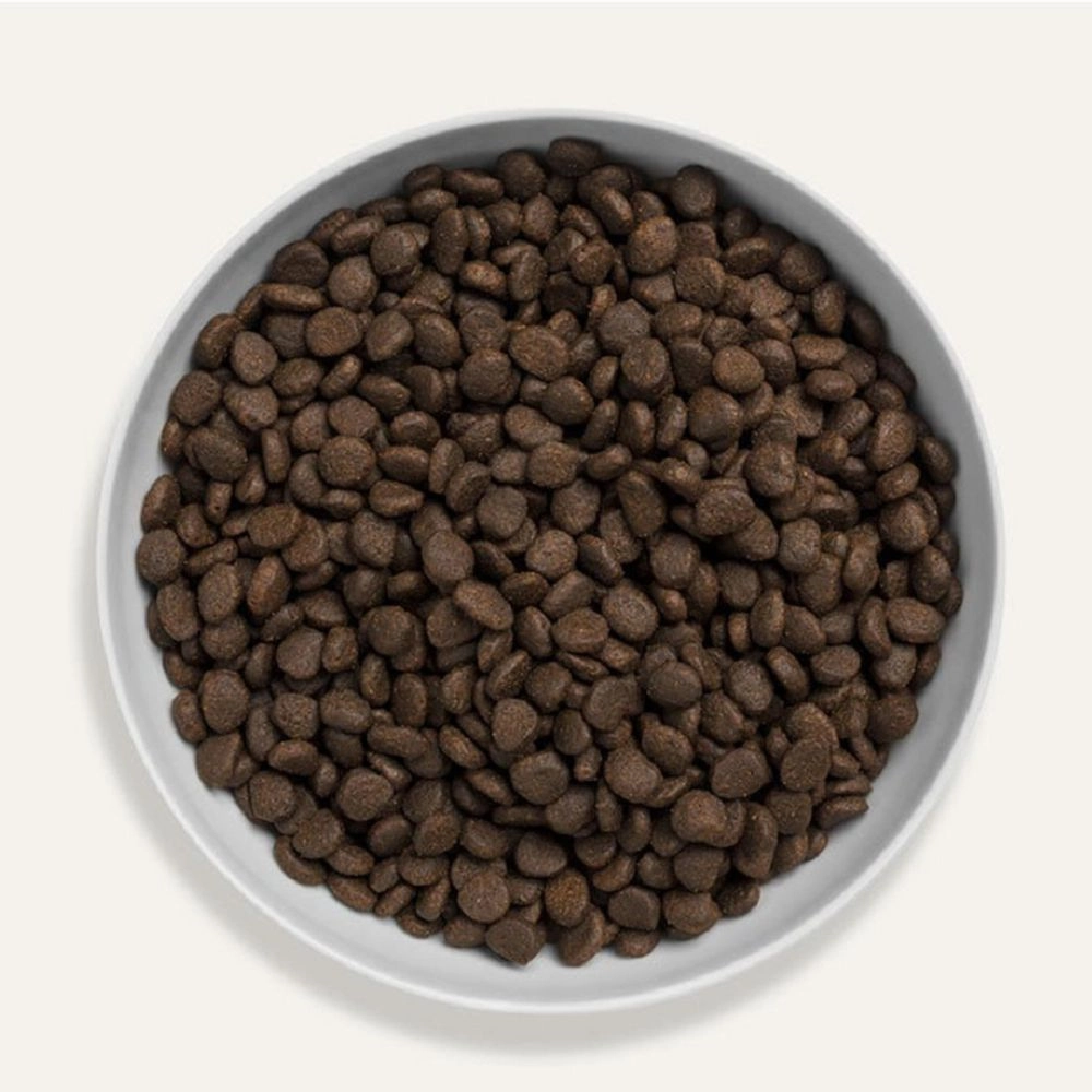 Grain Free Scottish Salmon Cat Dry Food