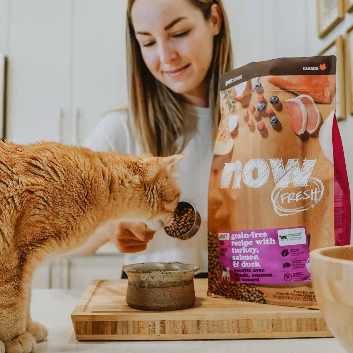 Grain Free Turkey Duck & Salmon Adult Cat Dry Food