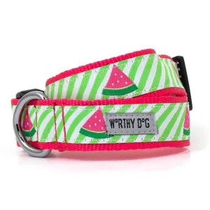 Green Stripe Watermelon Dog Collar Small