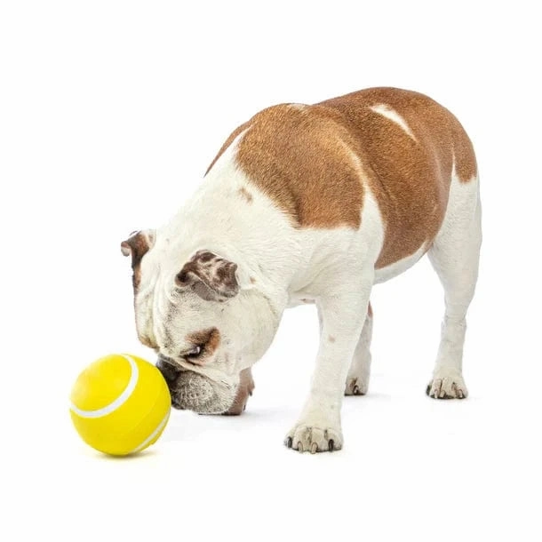 GURU Giggling Tennis Ball Dog Toy