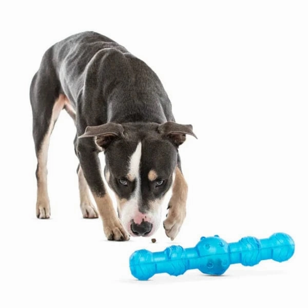 GURU Shaker Stick Dog Toy
