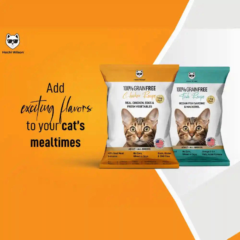 Hachi Wilson Grain Free Chicken Adult Cat Dry Food