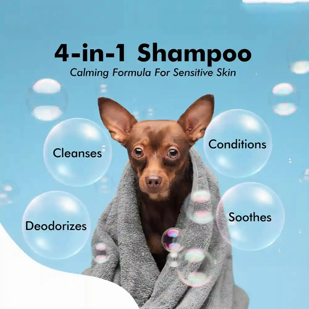 Hachi Wilson Premium 4 in 1 Shampoo for Dogs and Cats