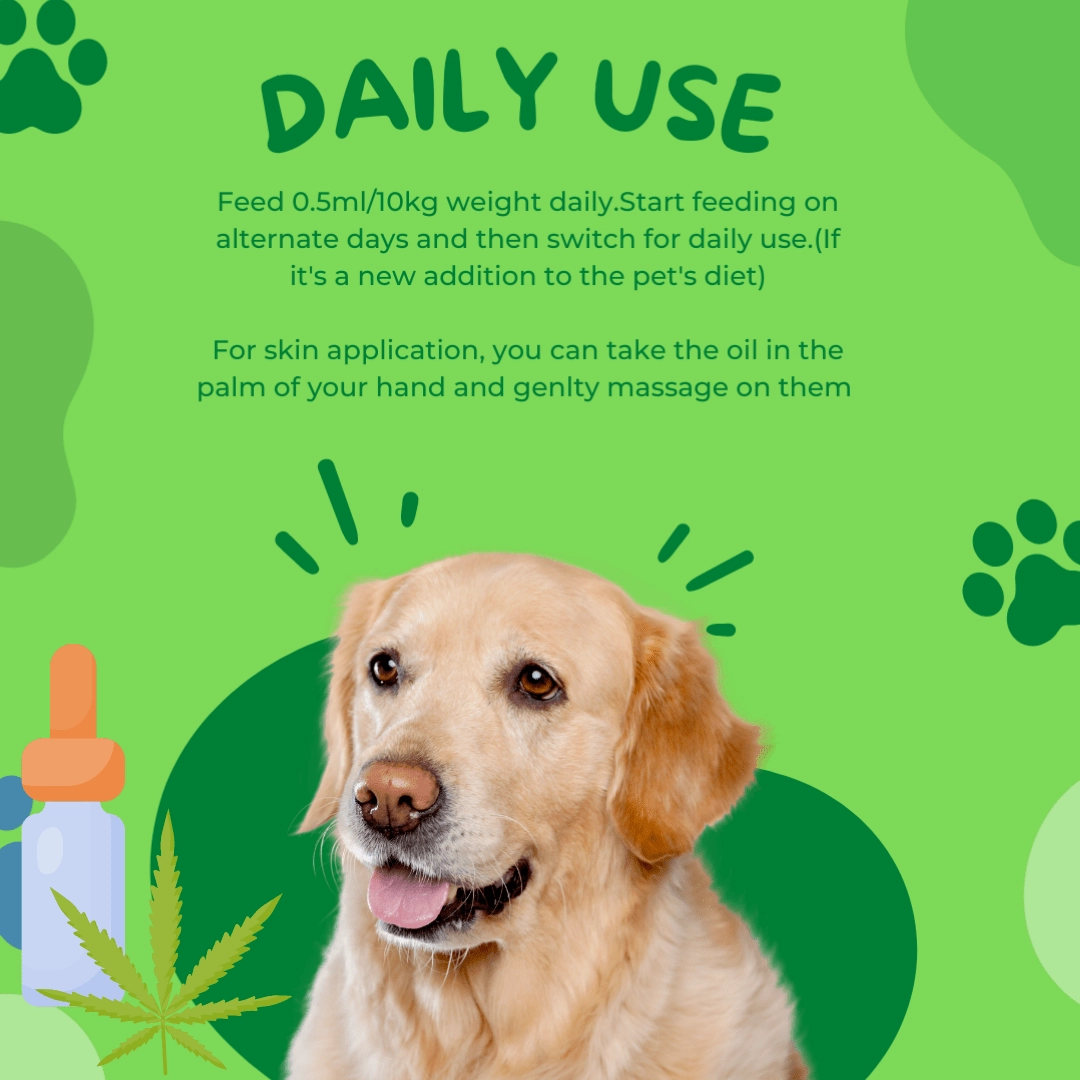 Healing Leaf Hemp Oil for Pets and Fresh For Paws Lamb On The Go Dog Wet Food Combo