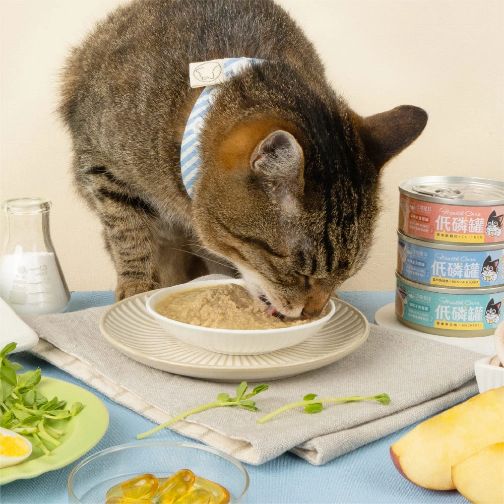 Health Care - Low Phosphorus Chicken Complete Balanced Cat Can