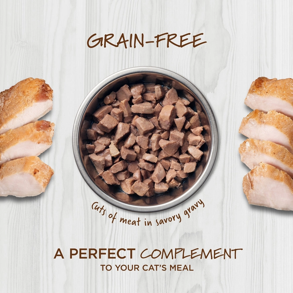 Healthy Cravings Grain Free Rabbit Recipe Cat Pouch