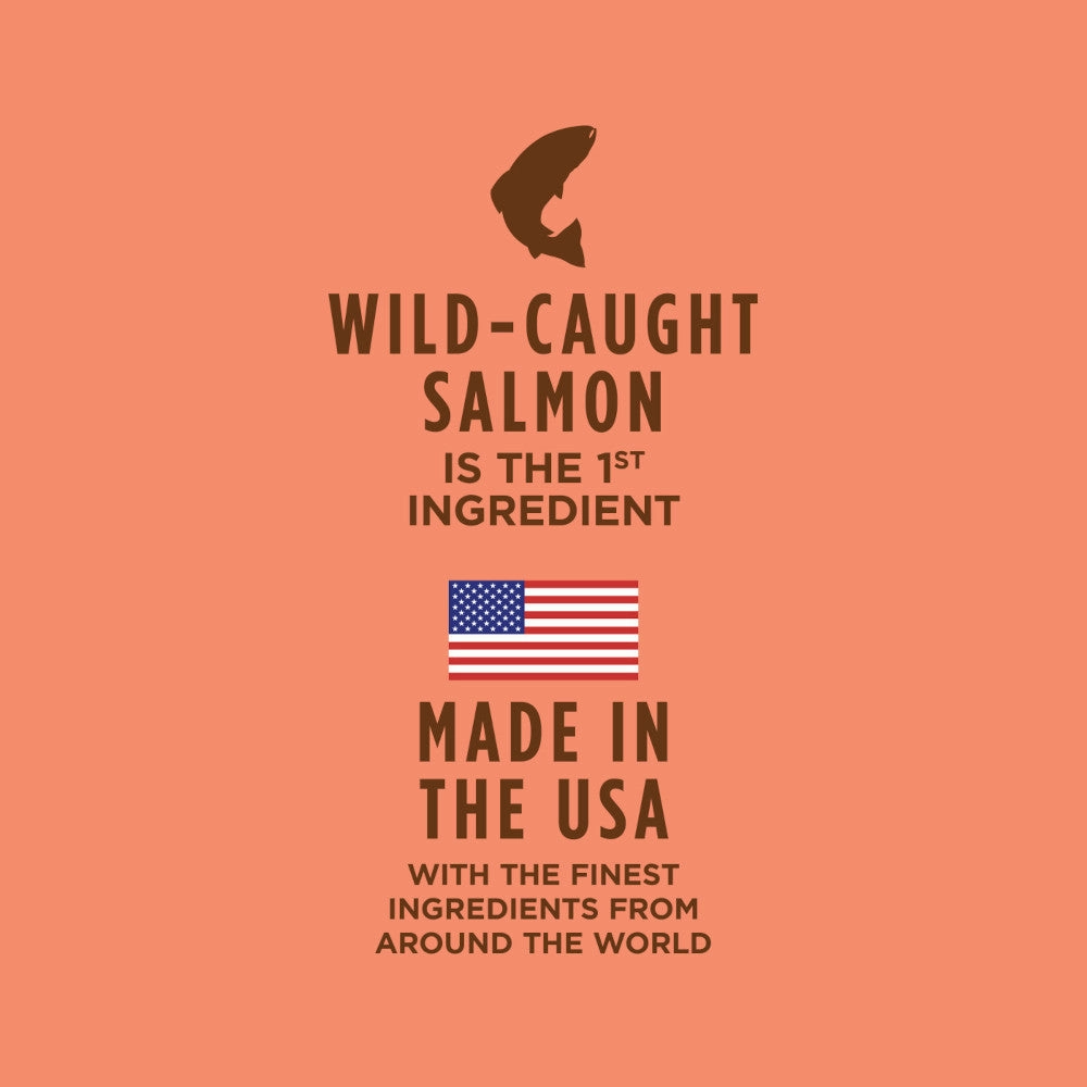 Healthy Cravings Grain Free Salmon Recipe Cat Pouch