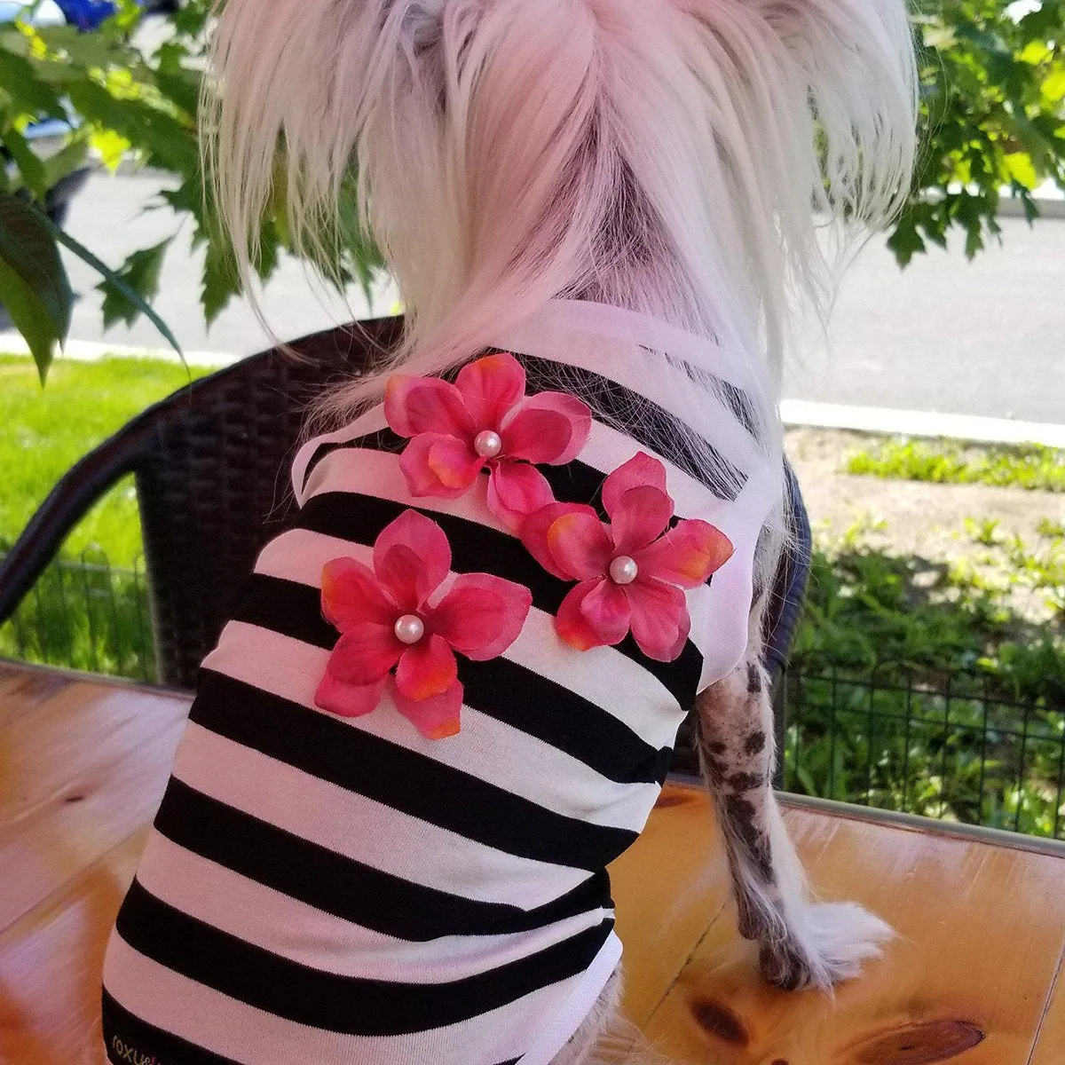 Hibiscus Stripe Dog Tank