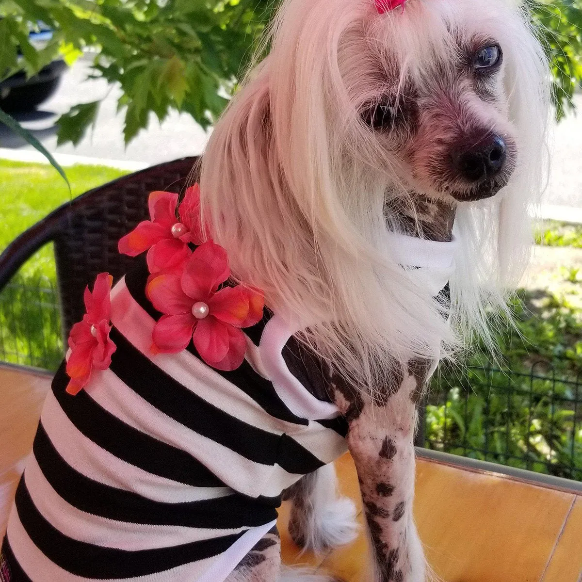 Hibiscus Stripe Dog Tank