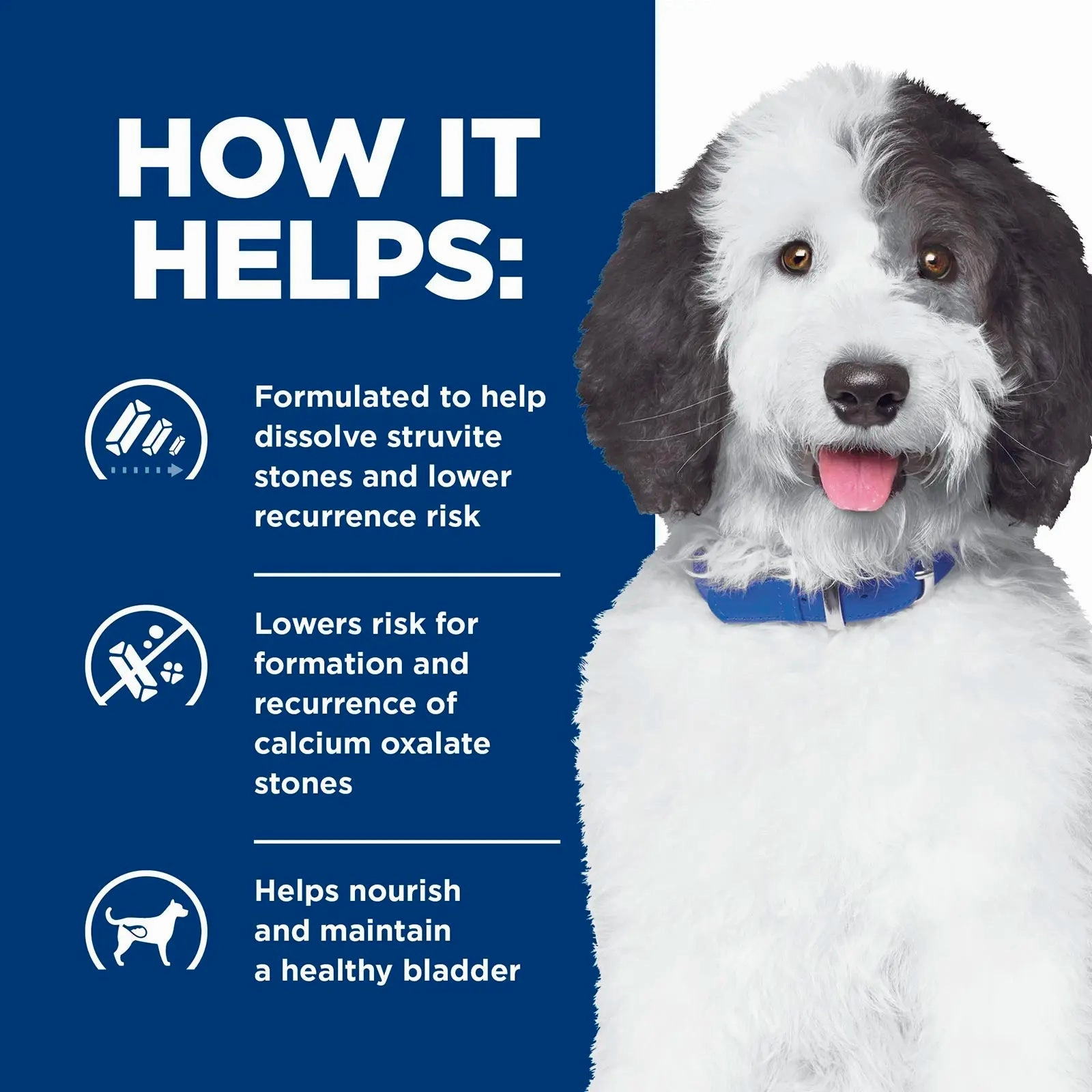 Hill's Prescription Diet - Canine c/d Multicare Urinary Care