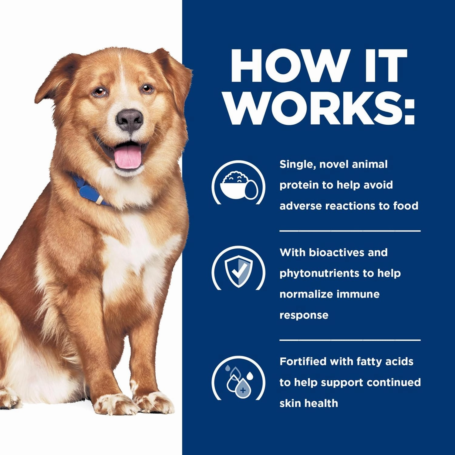 Hill's Prescription Diet - Canine Derm Complete Rice & Egg Recipe Canned 13oz