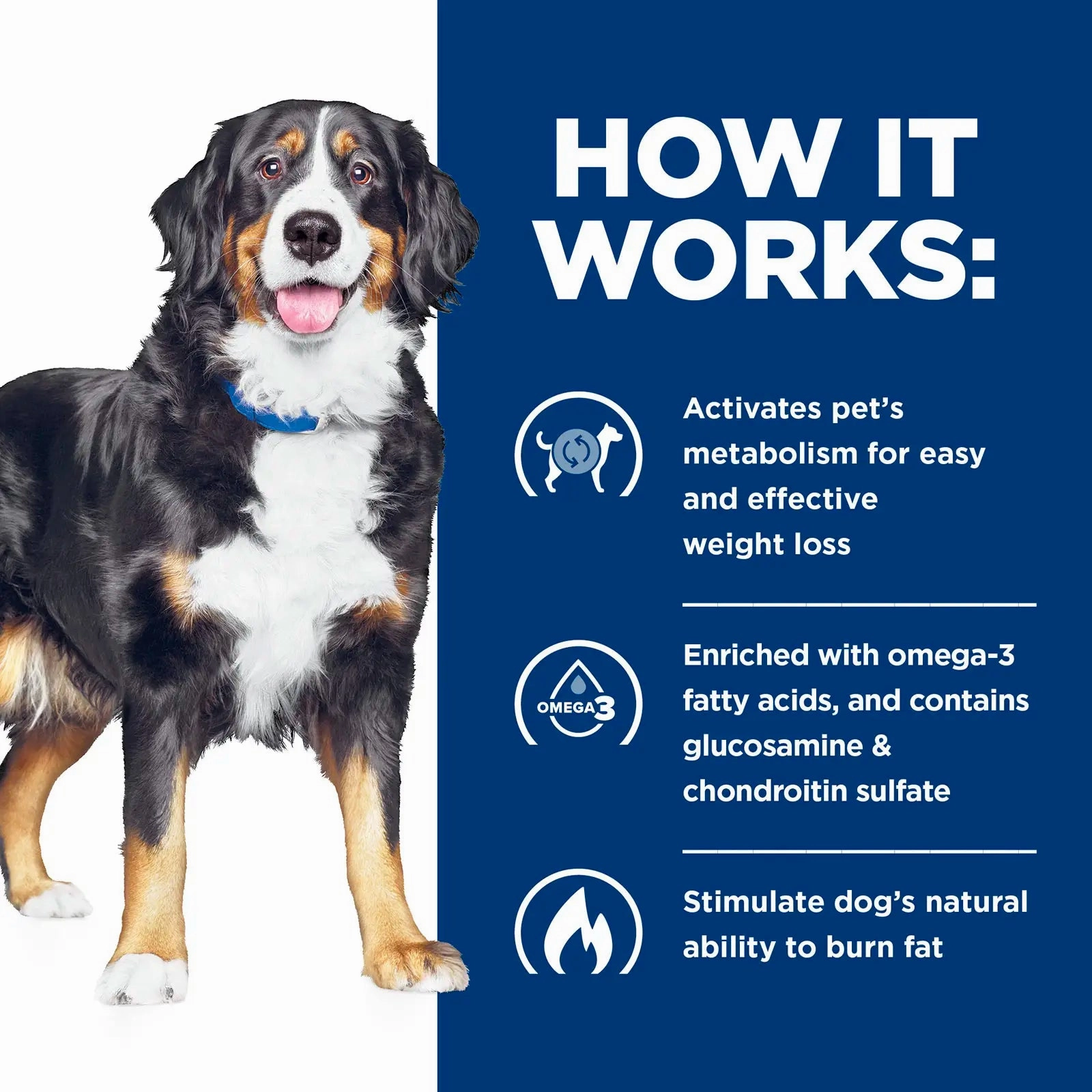 Hill's Prescription Diet - Canine J/D Metabolic Plus (Metabolic & Mobility)