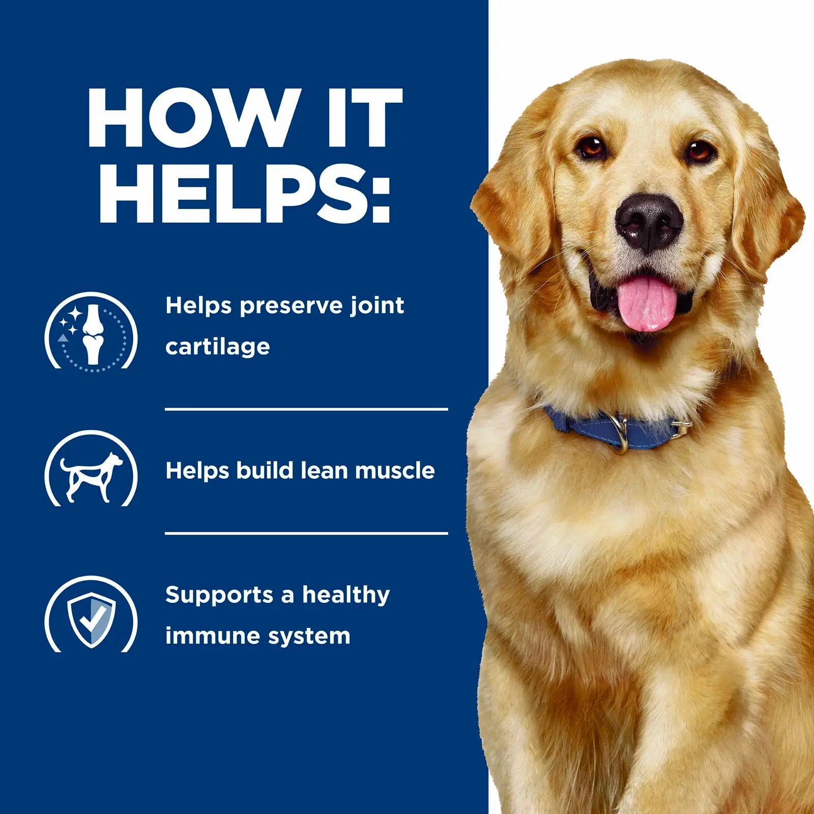 Hill's Prescription Diet - Canine j/d Mobility