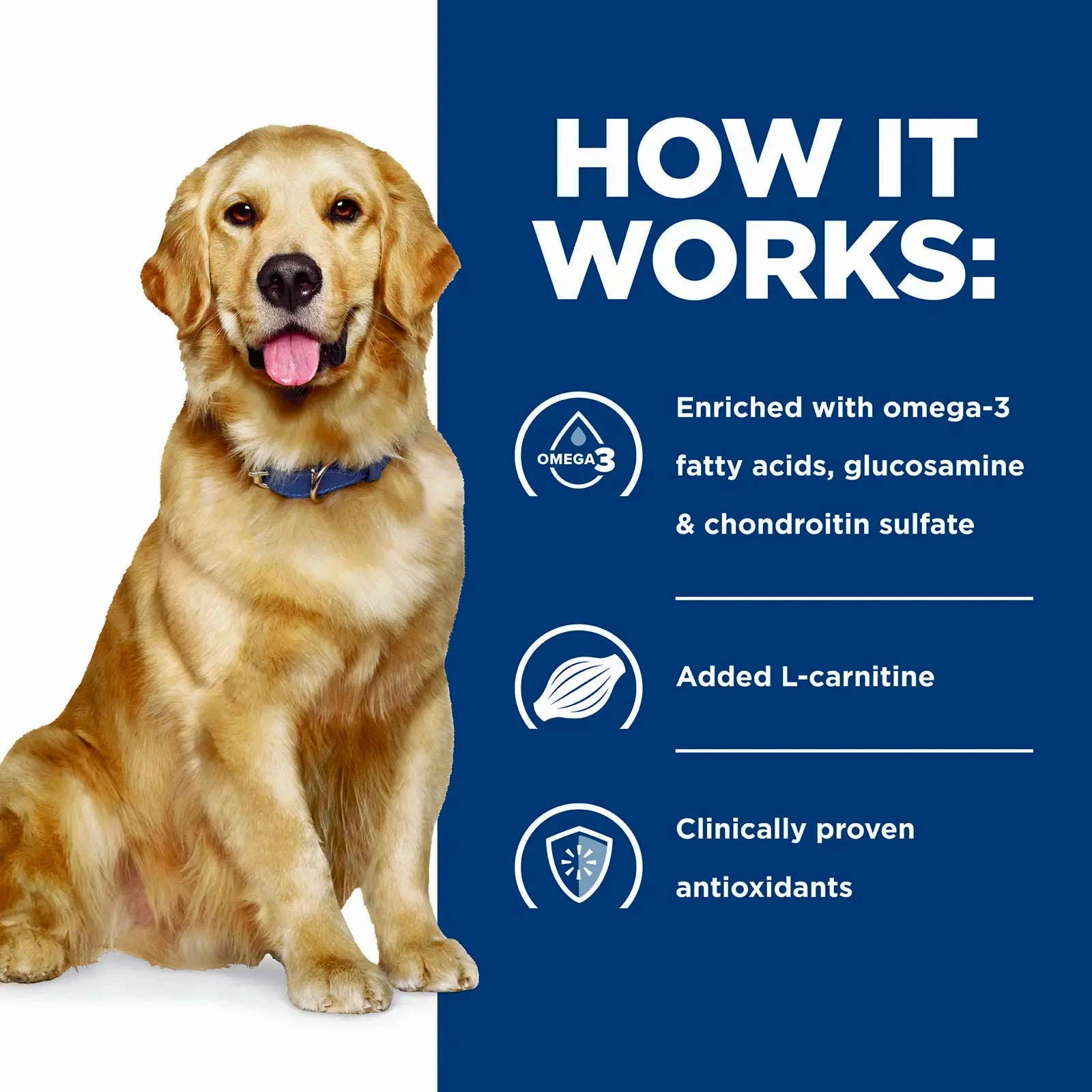 Hill's Prescription Diet - Canine j/d Mobility