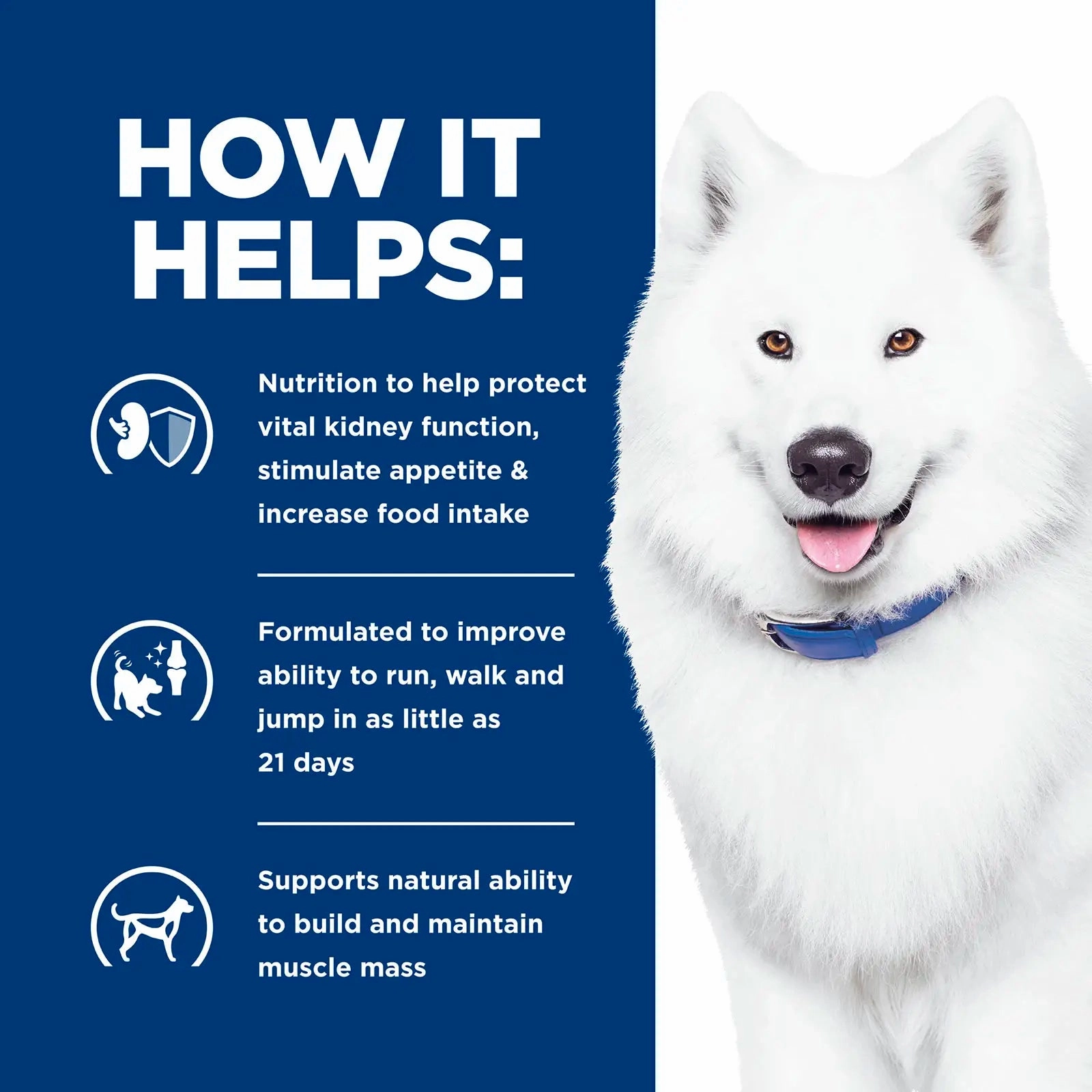 Hill's Prescription Diet - Canine k/d   j/d (Kidney & Mobility)