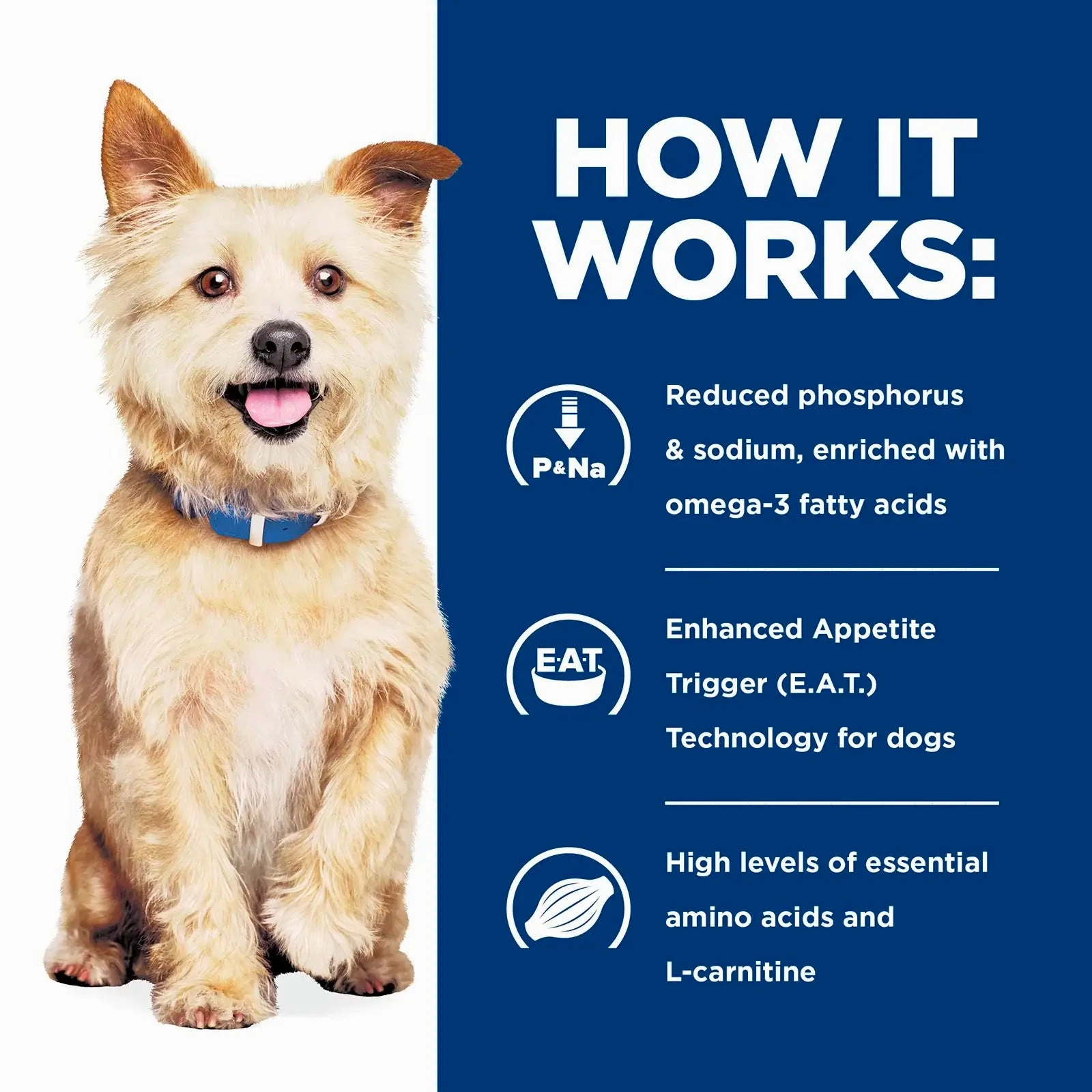 Hill's Prescription Diet - Canine k/d Kidney Care