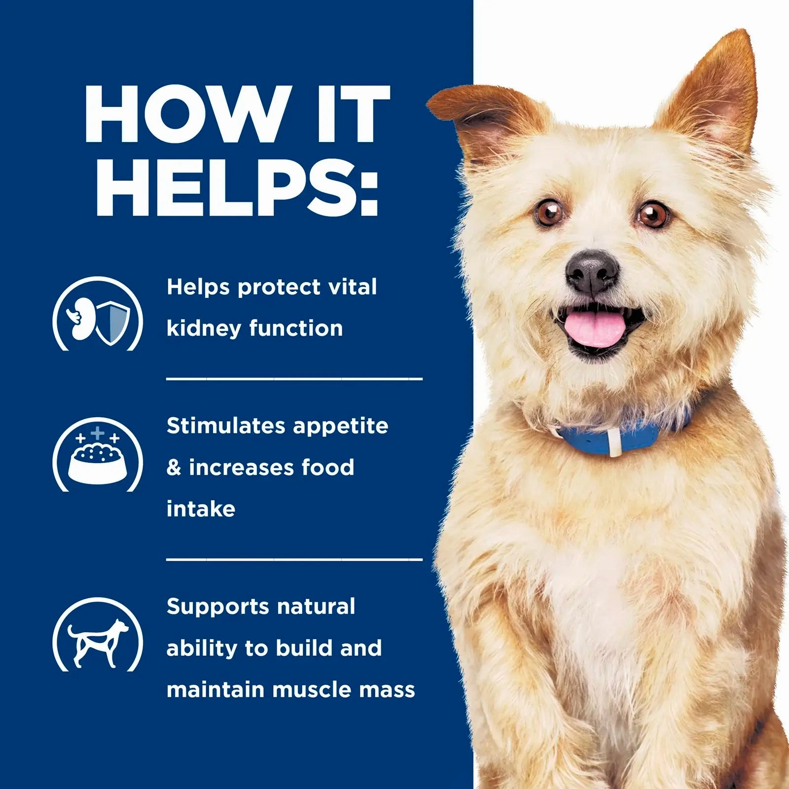 Hill's Prescription Diet - Canine k/d Kidney Care