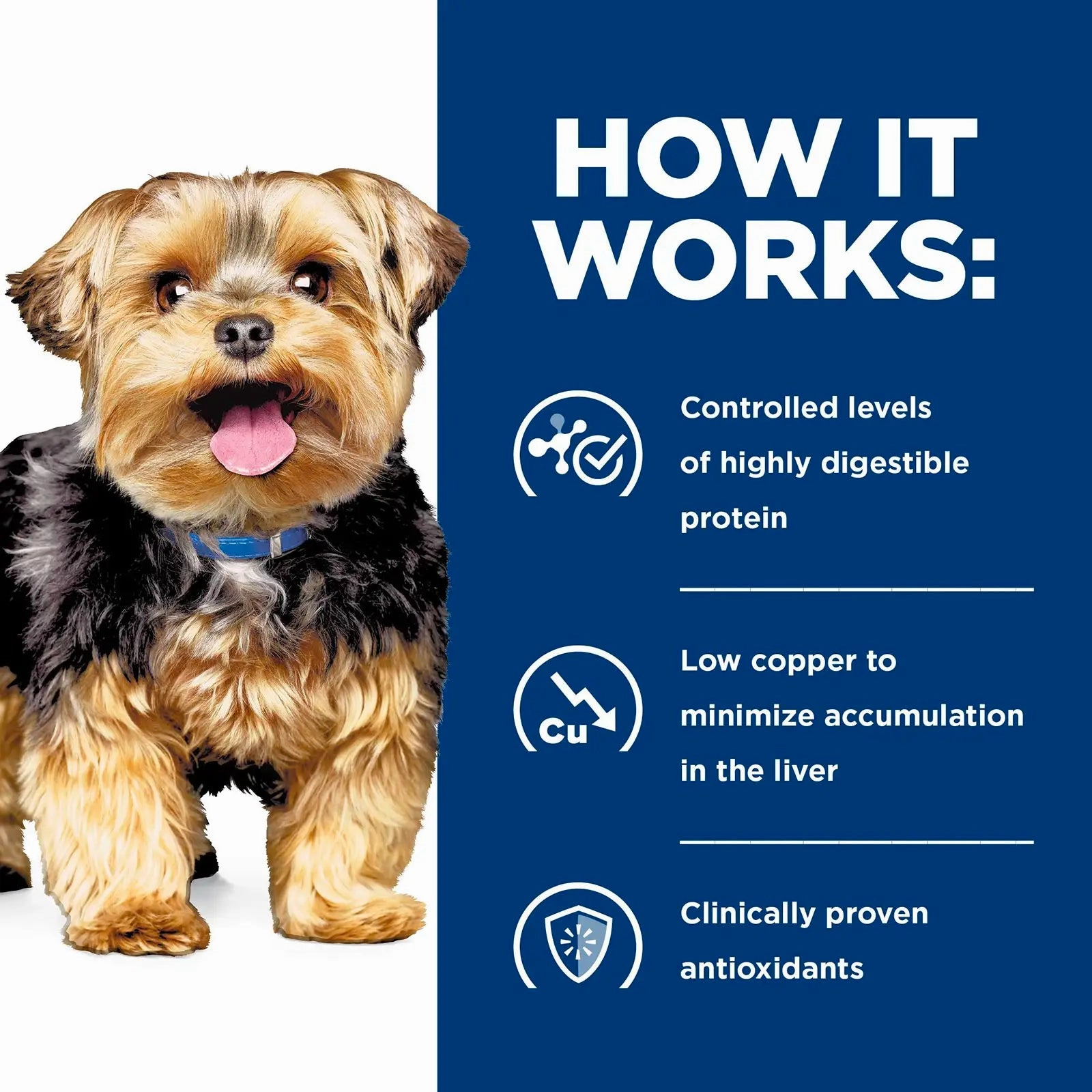 Hill's Prescription Diet - Canine l/d Liver Care 1.5kg