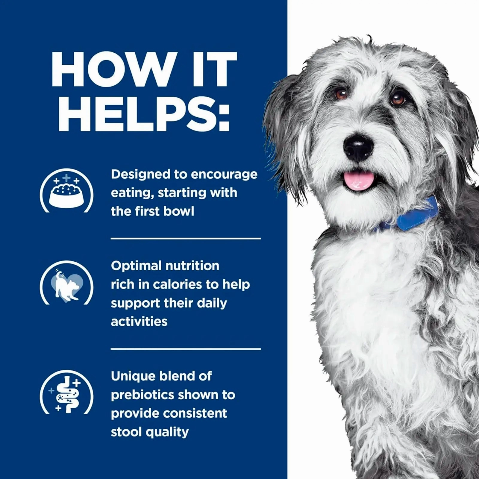 Hill's Prescription Diet - Canine ONC Cancer Care