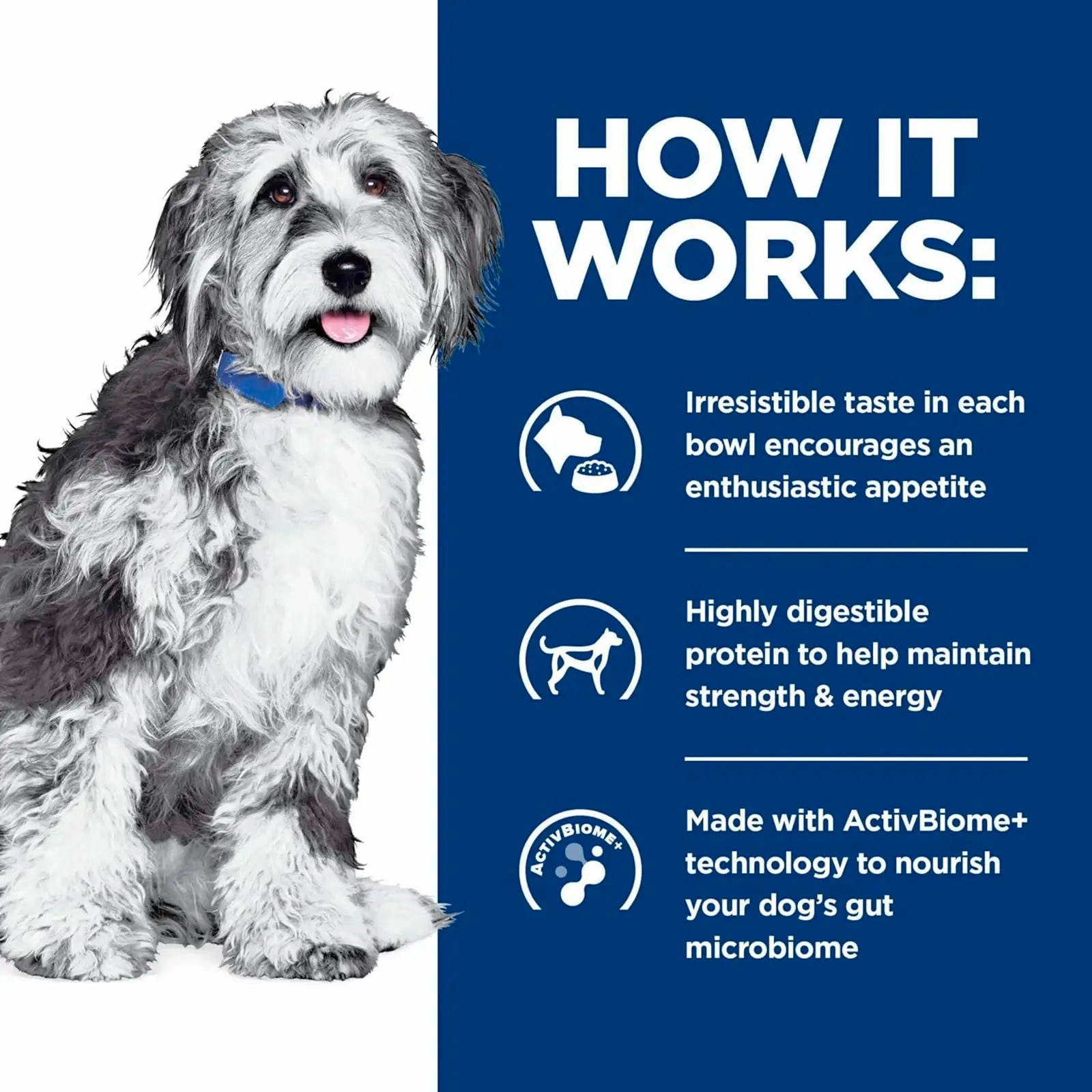 Hill's Prescription Diet - Canine ONC Cancer Care