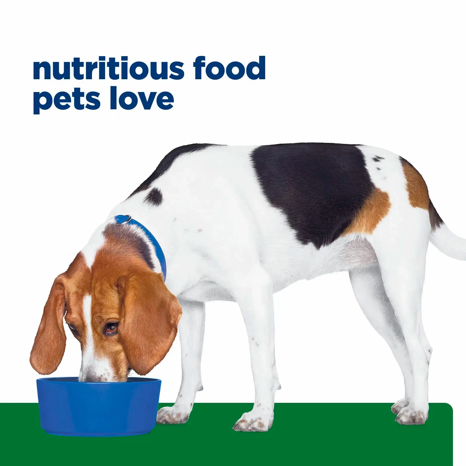Hill's Prescription Diet - Canine r/d Weight Reduction