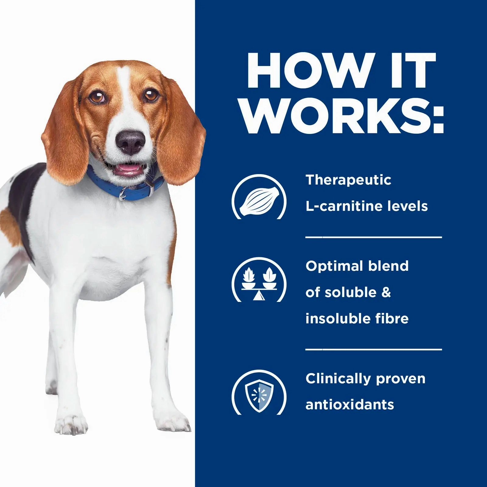 Hill's Prescription Diet - Canine r/d Weight Reduction