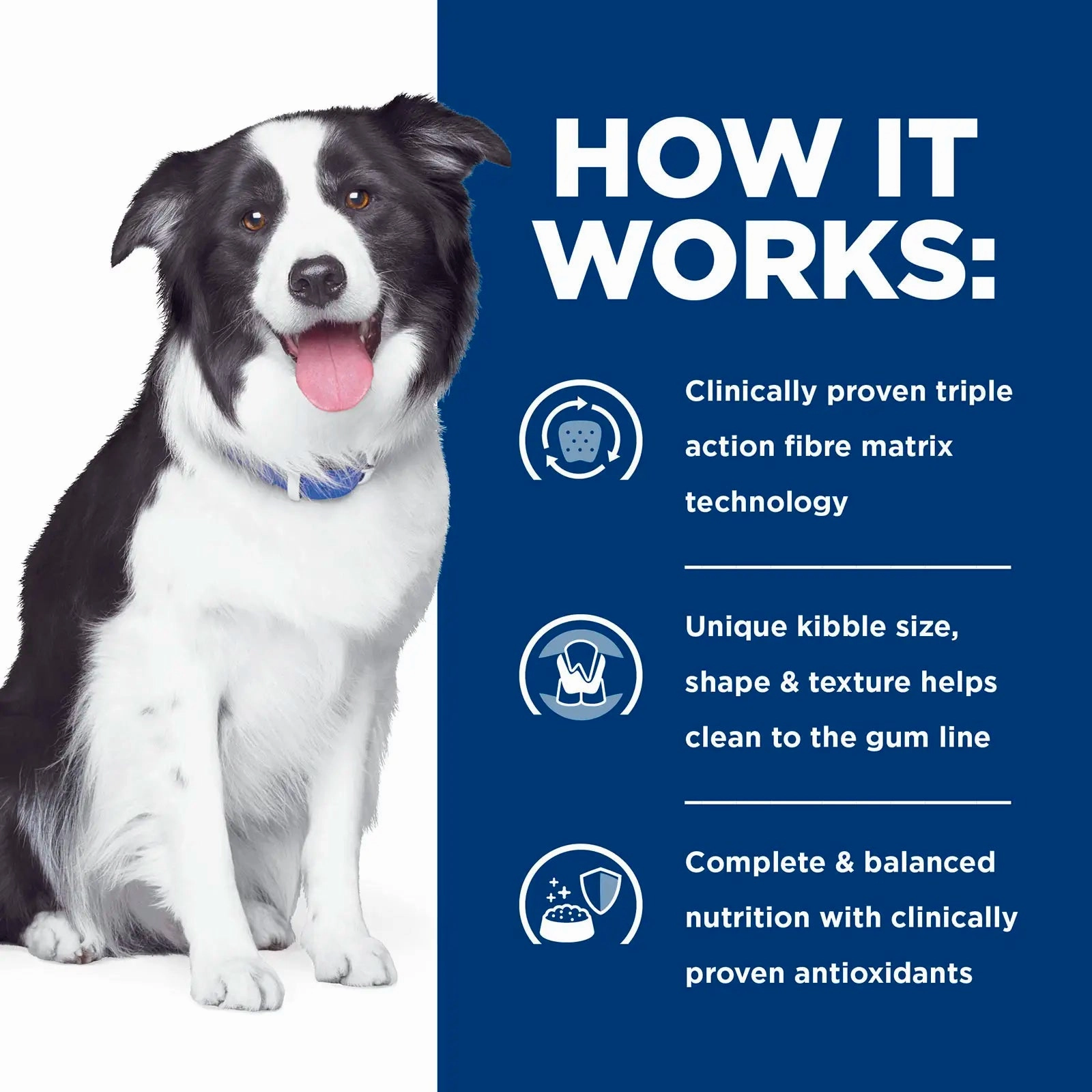 Hill's Prescription Diet - Canine t/d Dental Care 5lb