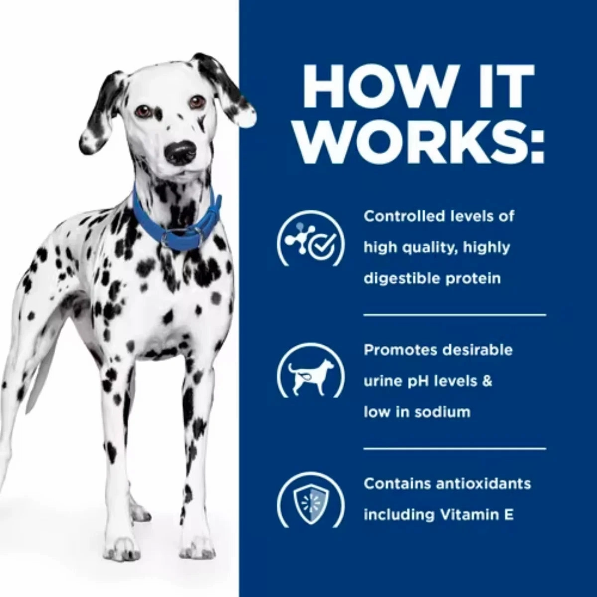 Hill's Prescription Diet - Canine u/d Urinary Care 13oz