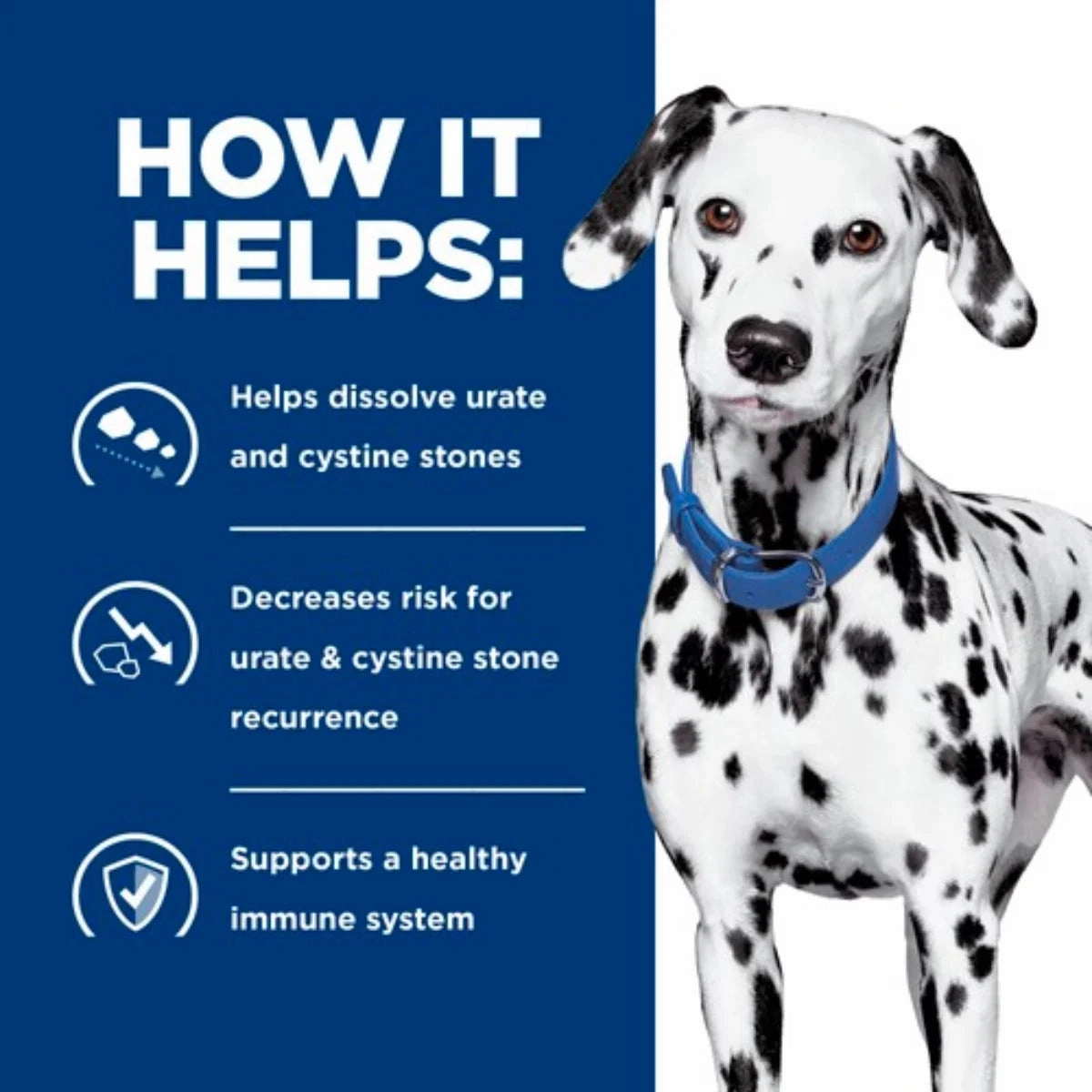 Hill's Prescription Diet - Canine u/d Urinary Care 13oz