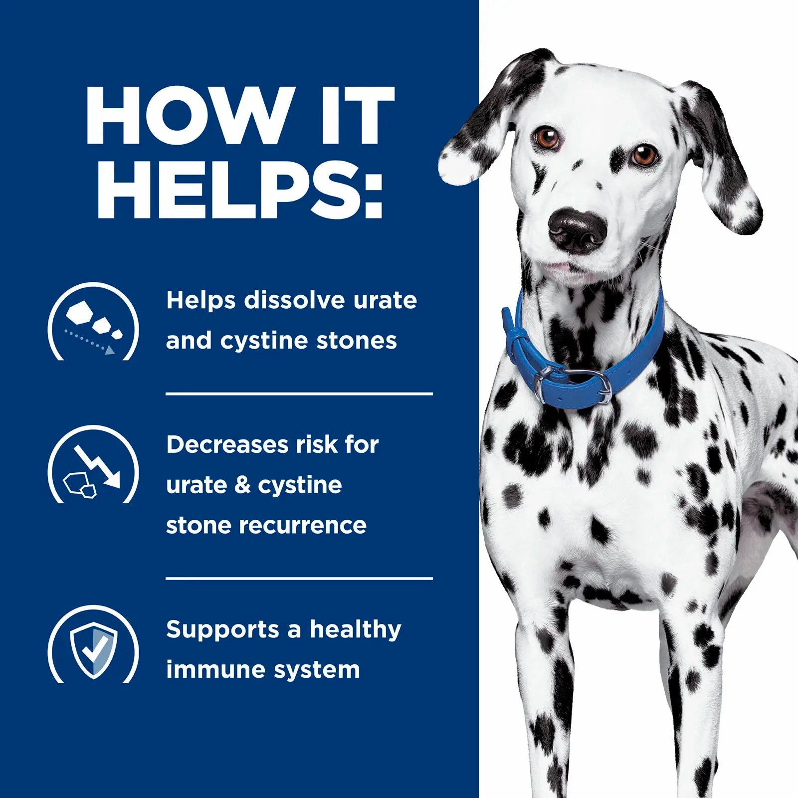 Hill's Prescription Diet - Canine u/d Urinary Care