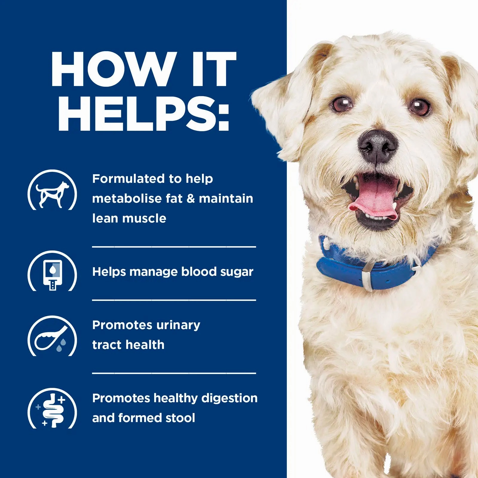 Hill's Prescription Diet - Canine w/d Digestive/Weight/Glucose Management