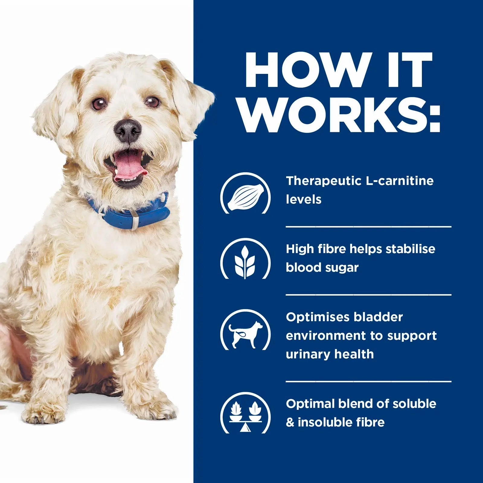 Hill's Prescription Diet - Canine w/d Digestive/Weight/Glucose Management