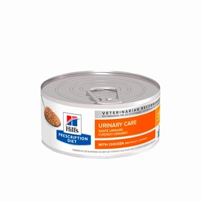 Cat Prescription Dog Food
