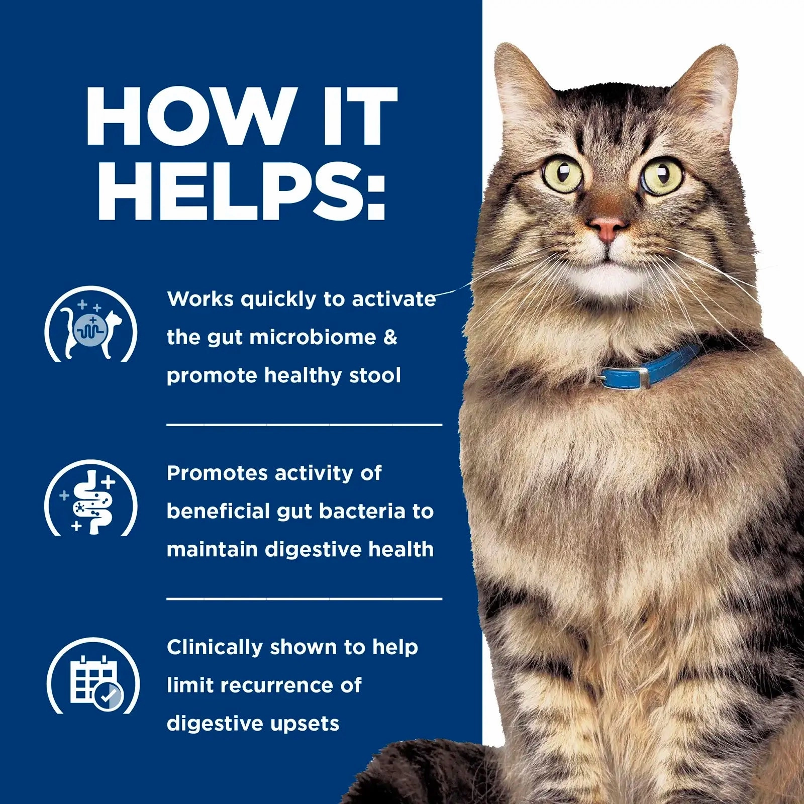 Hill's Prescription Diet - Feline Gastrointestinal Biome Stress
